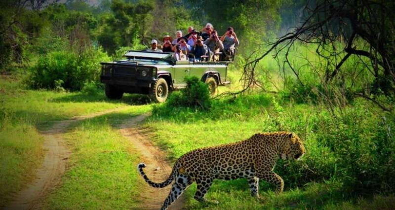 from-kathmandu-3-day-chitwan-national-park-tour-2