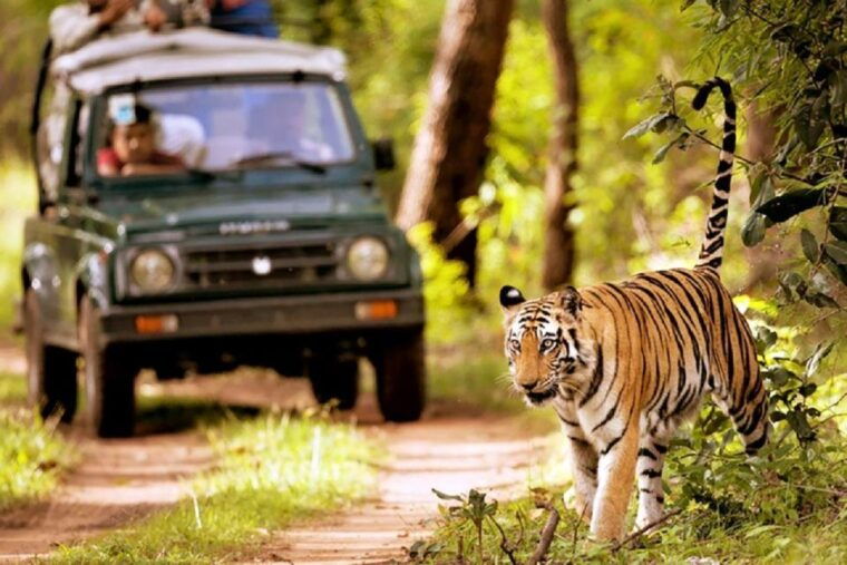 from-kathmandu-3-day-chitwan-national-park-tour