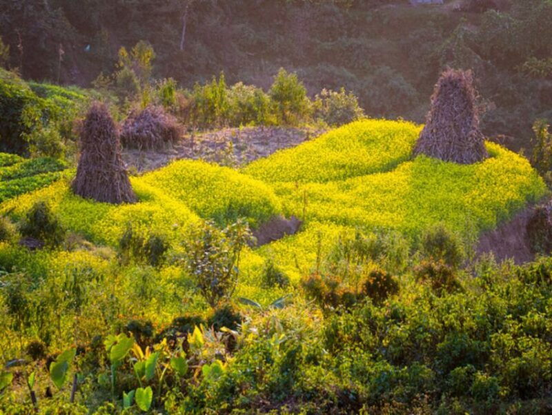 from-kathmandu-5-day-chisapani-to-nagarkot-trek