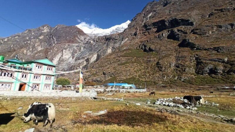 from-kathmandu-5-day-langtang-valley-nature-explore-trek