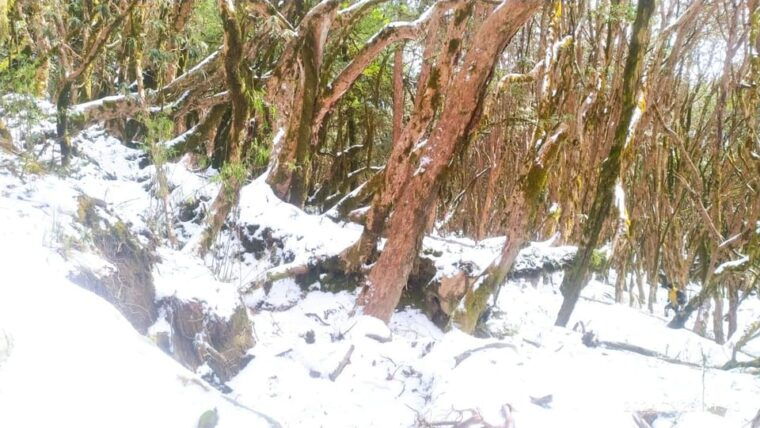from-kathmandu-6-day-mardi-himal-base-camp-guided-trek