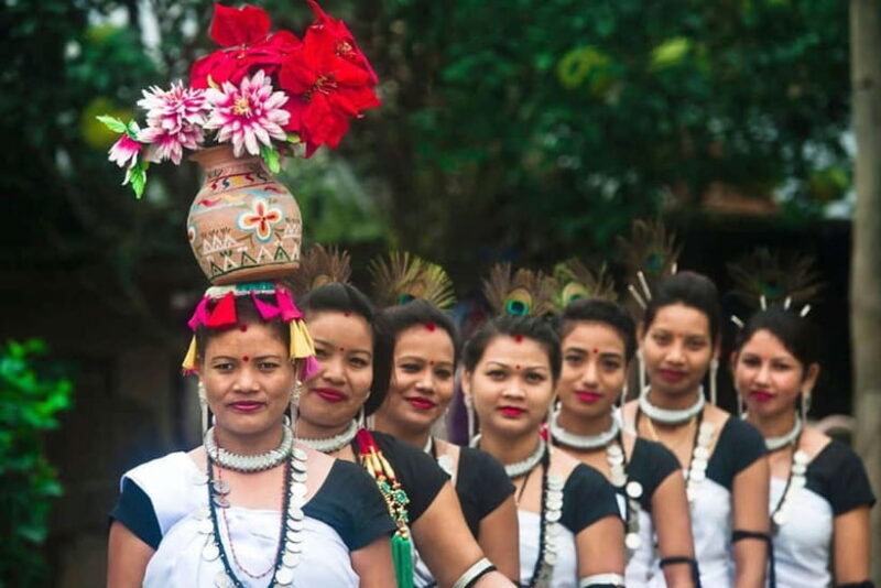 From Kathmandu: 7-Day Chitwan Safari & Pokhara Himalaya Tour - Who Is This Tour Best For?  