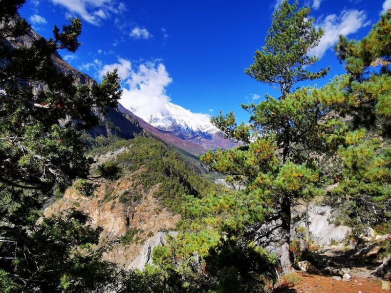 from-kathmandu-budget-8-day-private-annapurna-circuit-trek