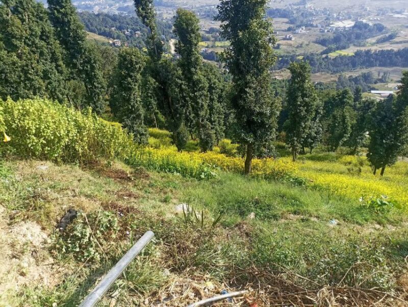 From Kathmandu: Everest View from Nagarkot & hike to Changu - FAQ