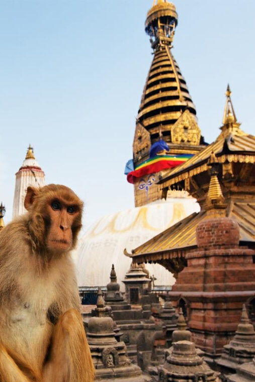 from-kathmandu-iconic-chandragiri-hill-monkey-temple-tour
