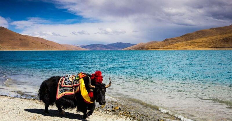 from-kathmandu-multi-day-tibet-highlights-trip