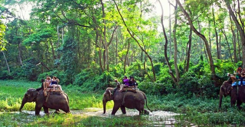 from-kathmandu-or-pokhara-1-n-2d-day-chitwan-wildlife-tour