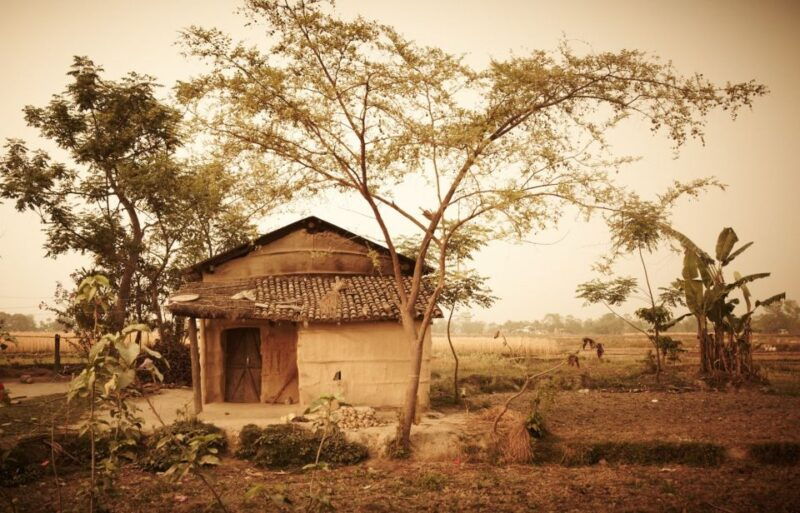 from-kathmandu-or-pokhara-3-nights-chitwan-jungle-safari