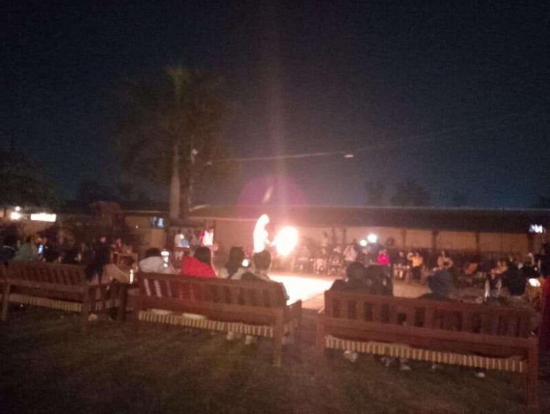 from-kathmandu-or-pokhara-4-day-chitwan-national-park-tour-2