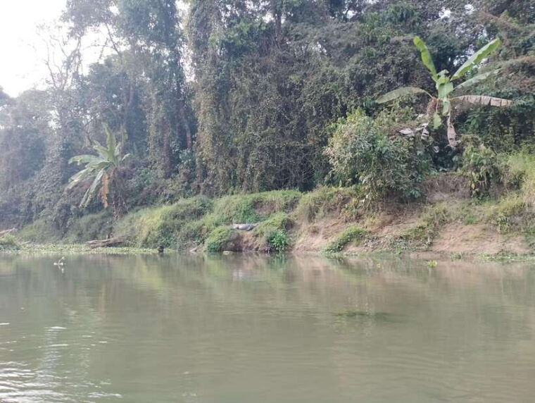 from-kathmandu-or-pokhara-4-day-chitwan-national-park-tour-3