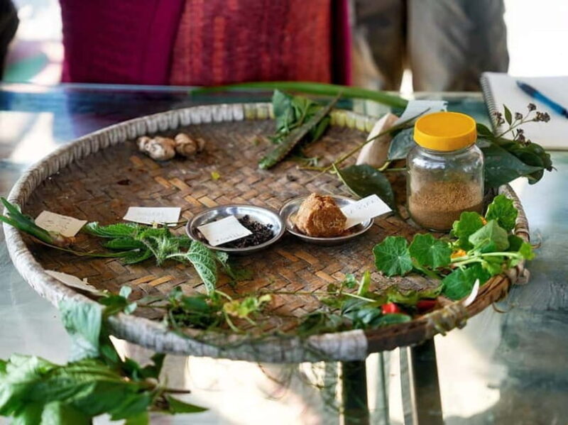 From Kathmandu: Patlekhet Permaculture Organic Farm Tour - From Kathmandu: Patlekhet Permaculture Organic Farm Tour