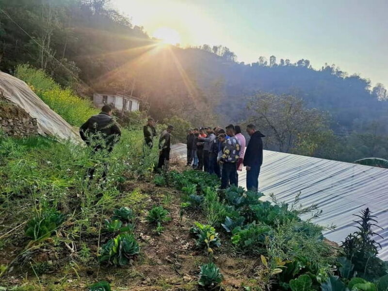 From Kathmandu: Patlekhet Permaculture Organic Farm Tour - Key Points