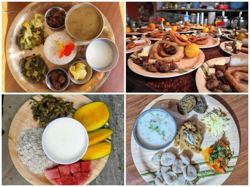 From Kathmandu: Patlekhet Permaculture Organic Farm Tour - Practical Details and Value