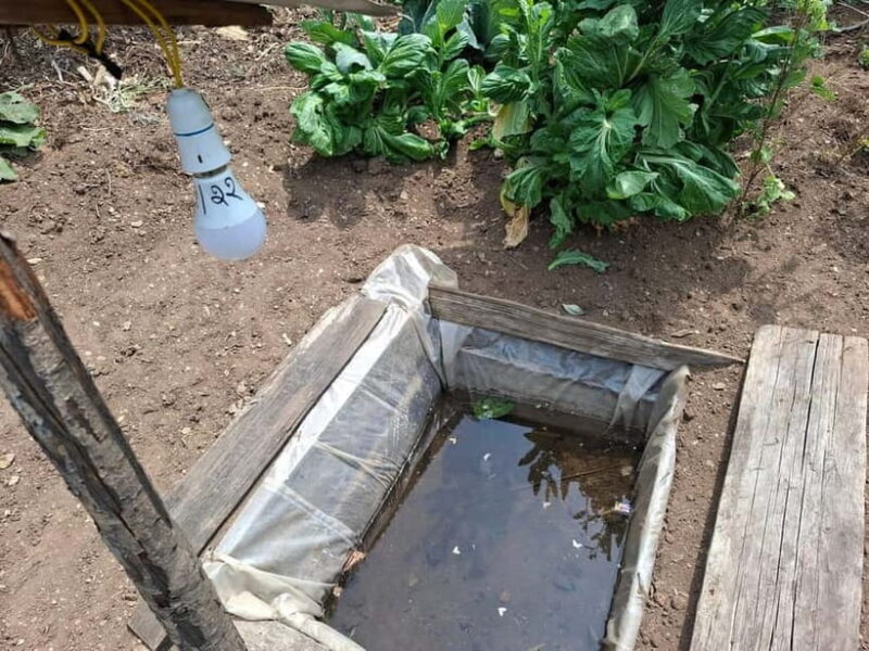 From Kathmandu: Patlekhet Permaculture Organic Farm Tour - Final Thoughts