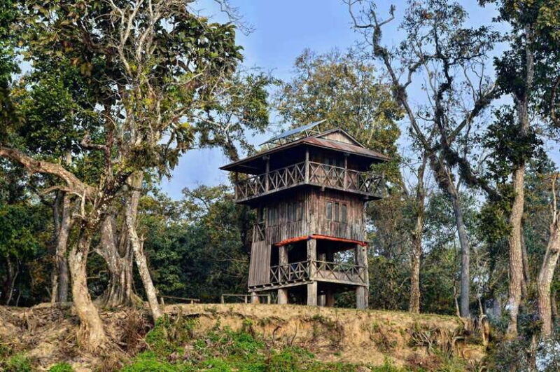 from-kathmandu-pokhara-2-3-or-4-day-chitwan-jungle-safari