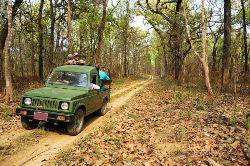 from-kathmandu-pokhara-2-3-or-4-day-chitwan-jungle-safari