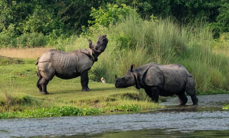 From Kathmandu/Pokhara: 3-Day Chitwan National Park Tour - Journey to Chitwan: Starting Point and Transportation