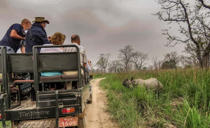 From Kathmandu/Pokhara: 3-Day Chitwan National Park Tour - Overall Value and Experience