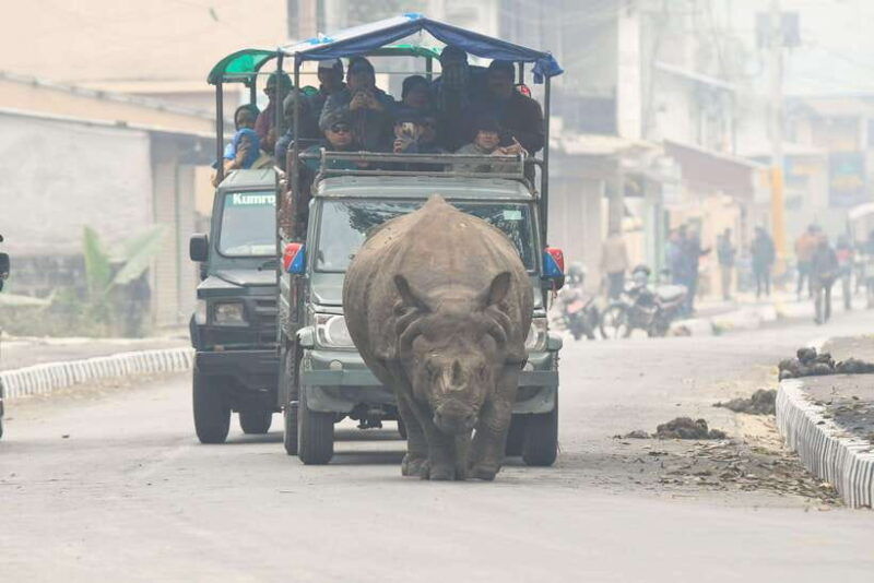 from-kathmandu-pokhara-3-days-chitwan-national-park-tours