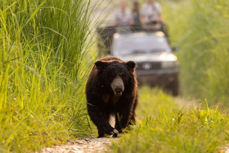 from-kathmandu-pokhara-3-days-chitwan-national-park-tours
