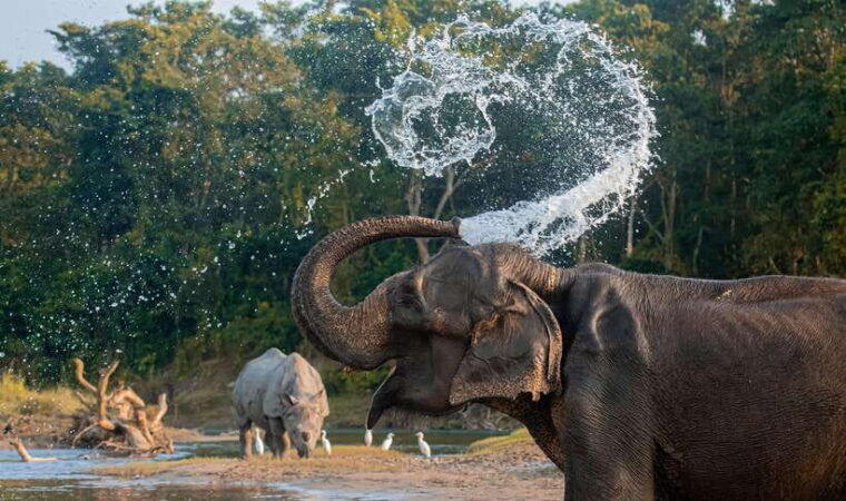 from-kathmandu-pokhara-3-days-chitwan-national-park-tours