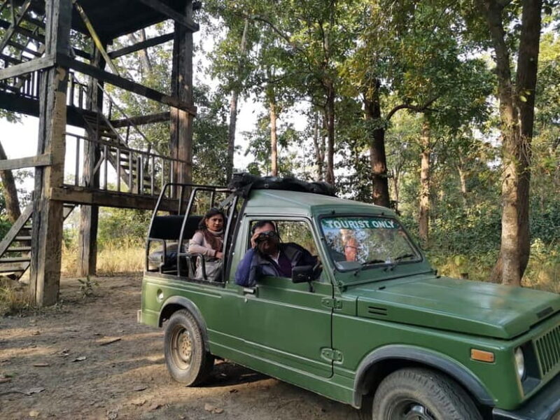 From Kathmandu/Pokhara: Bardiya National Park 4-Day Tour - The Value of This Safari