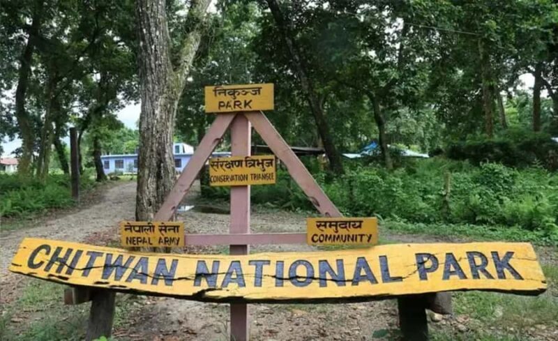 From Kathmandu/Pokhara: Private 3-Day Chitwan Safari Tour - Practical Tips for Travelers