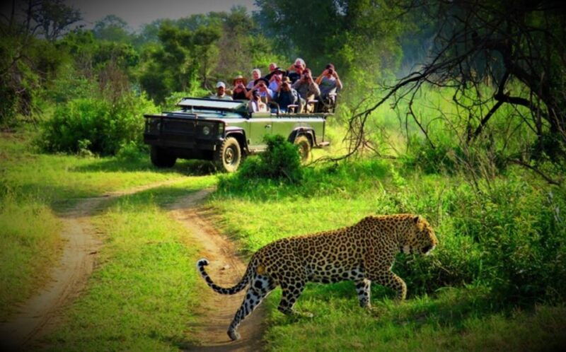 from-kathmandu-pokhara-private-3-day-chitwan-safari-tour