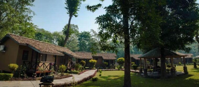 from-kathmandu-pokhara-private-3-day-chitwan-safari-tour