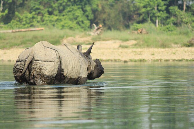 From Kathmandu: Private 3-Day Chitwan Safari Tour - An In-Depth Look at the 3-Day Chitwan Safari