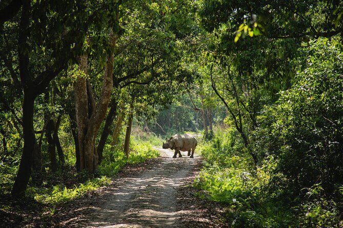 From Kathmandu: Private 3-Day Chitwan Safari Tour - FAQ