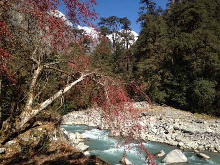 from-kathmandu-short-langtang-valley-trek-6-days