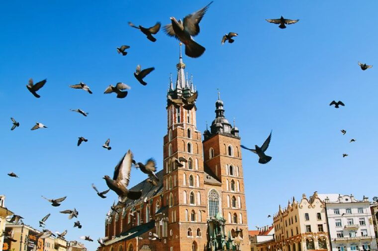 from-katowice-krakow-old-town-private-guided-day-trip