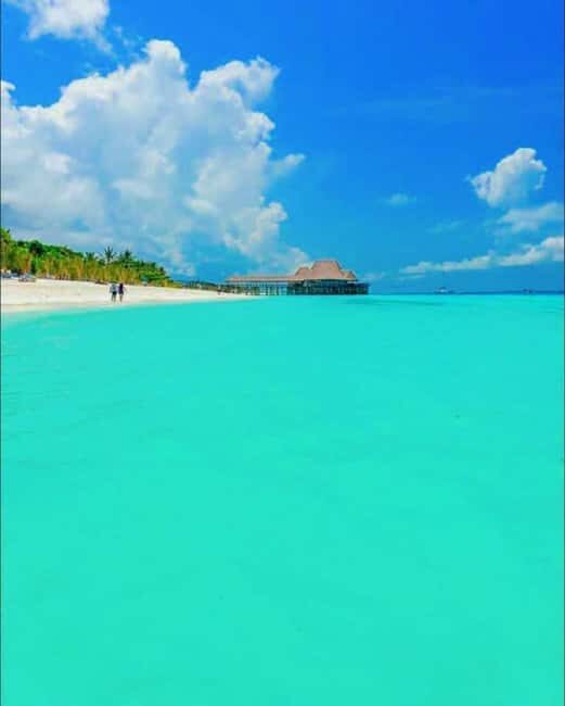 FROM KENDWA; Mnemba snorkelling and Dolphin tour - The Experience for Different Travelers