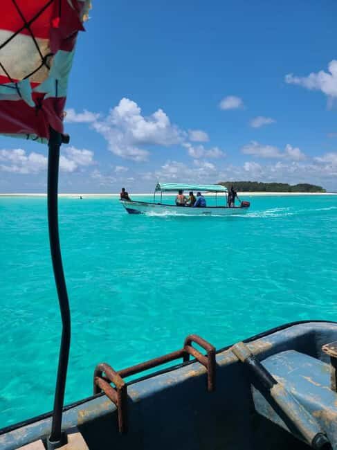 FROM KENDWA; Mnemba snorkelling and Dolphin tour - Final Thoughts