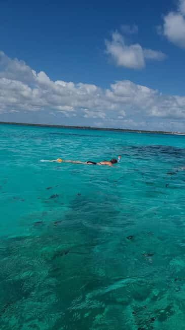 FROM KENDWA; Mnemba snorkelling and Dolphin tour - FAQ