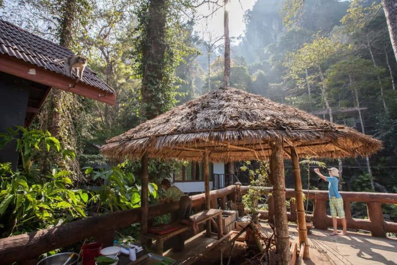 From Khao Lak: Day Trip to Khao Sok with Elephant Camp Visit - Key Points