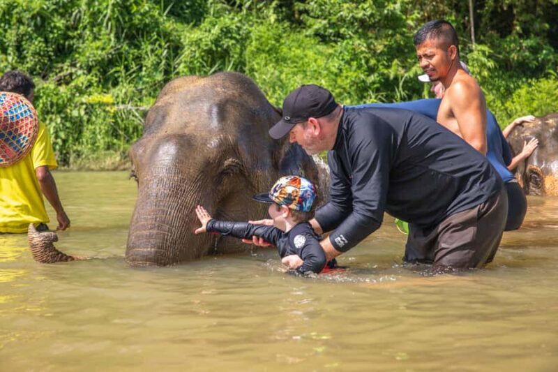 From Khao Lak: Day Trip to Khao Sok with Elephant Camp Visit - An In-Depth Look at the Khao Sok Day Trip