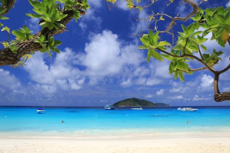 From Khao Lak: Full-Day Snorkeling in the Similan Islands - What to Expect from the Full-Day Snorkeling Tour