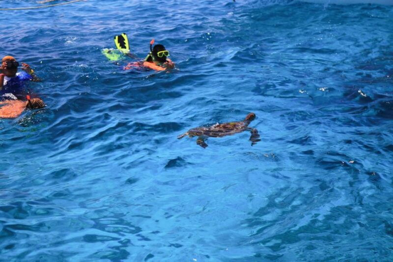 from-khao-lak-full-day-snorkeling-in-the-similan-islands
