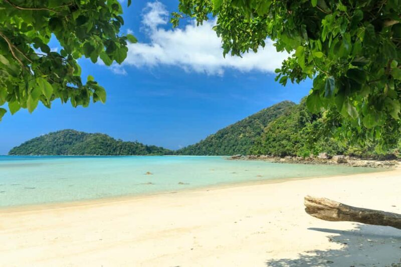 From Khao Lak: Full-Day Snorkeling in the Surin Islands - Key Points