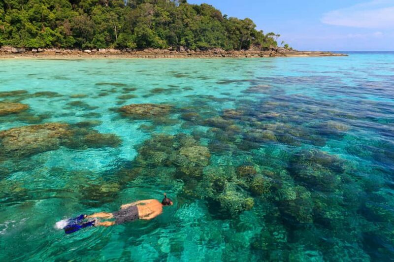 From Khao Lak: Full-Day Snorkeling in the Surin Islands - What We Learned from the Reviews