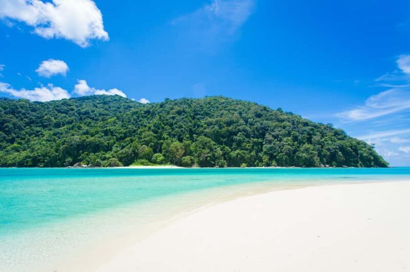 From Khao Lak: Full-Day Snorkeling in the Surin Islands - The Sum Up: Who Is This Tour Best For?