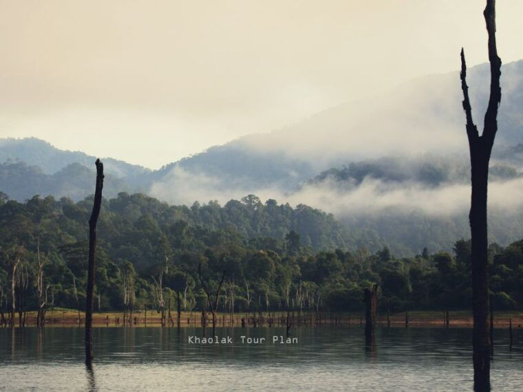 from-khao-lak-or-phuket-2-day-cheow-lan-lake-tour