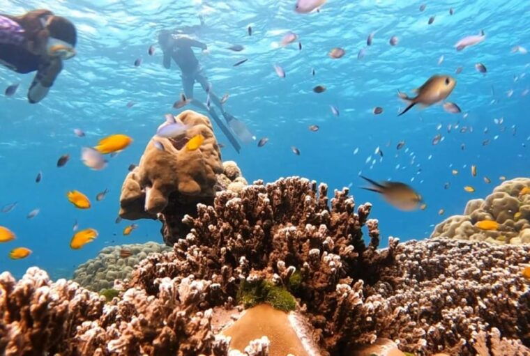 from-khao-lak-phuket-similan-islands-snorkeling-day-trip