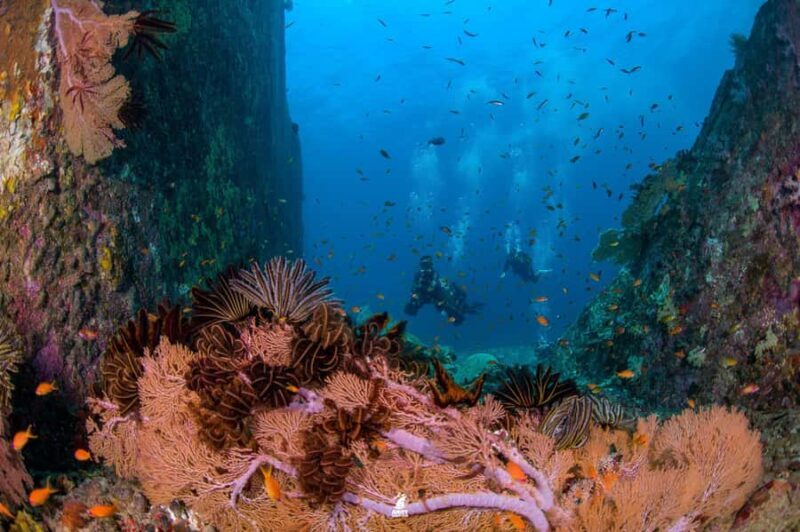 From Khao Lak: Similan Islands Diving Trip - FAQ