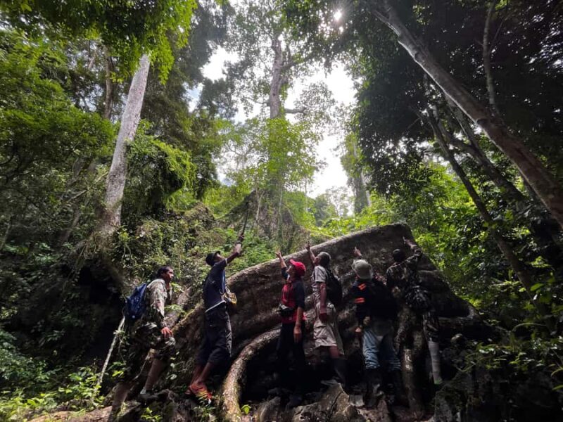 From Khao Sok: Half-Day Rainforest Trek with Local Guides - An In-Depth Look at the Khao Sok Rainforest Trek