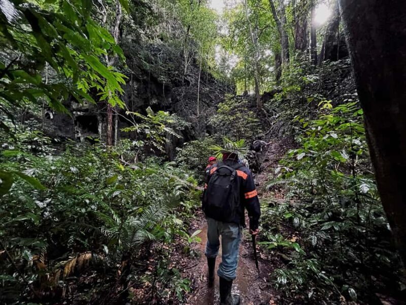 From Khao Sok: Half-Day Rainforest Trek with Local Guides - Final Thoughts: Is This Tour Worth It?