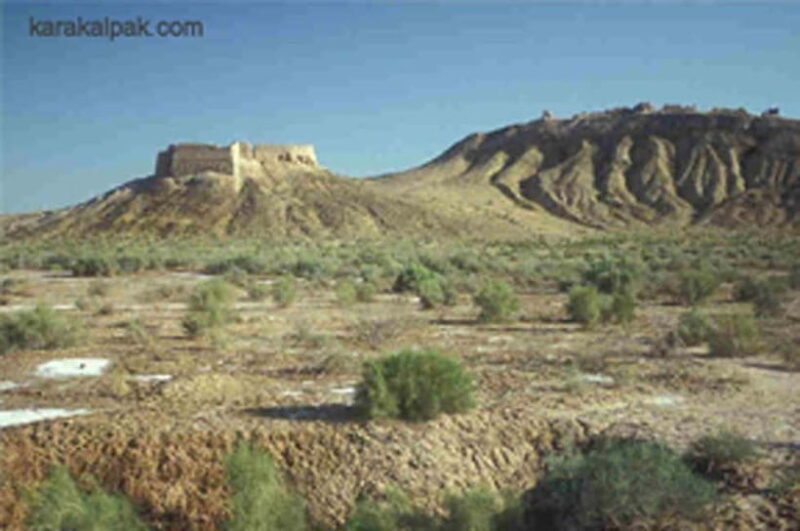 From Khiva: Khorezm Fortresses Adventure Tour - Who Will Love This Tour?