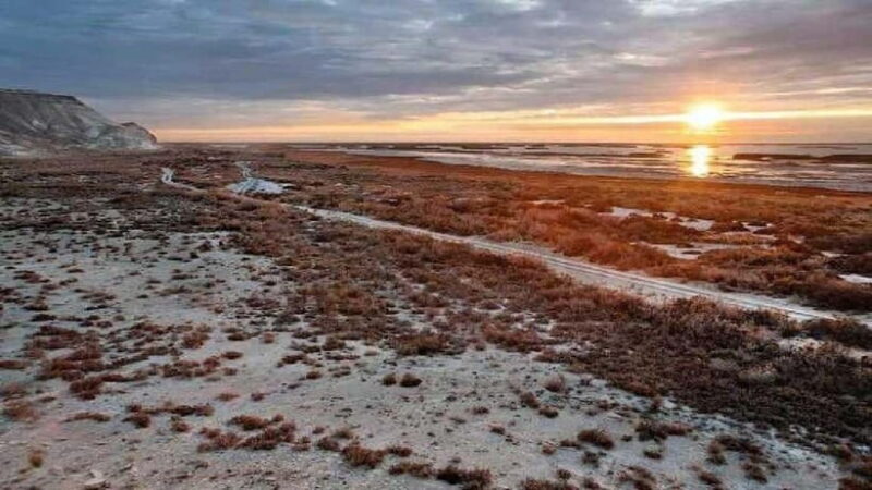 From Khiva To Aral Sea 2-Days One Night In Yurt Stay - Transportation and Logistics